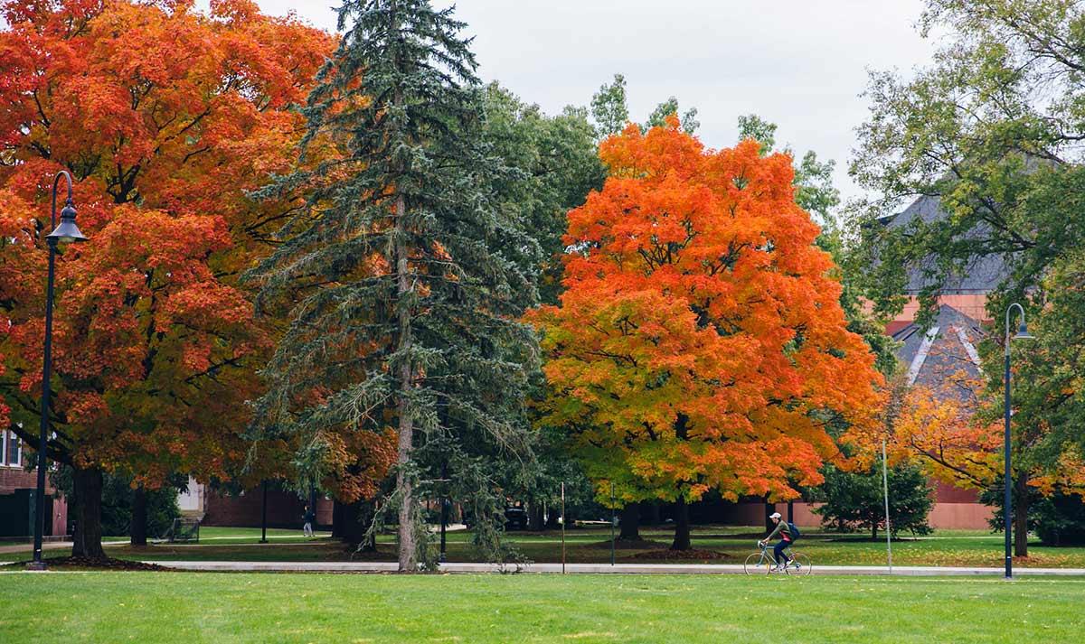 Green and orange colored trees on Gettysburg College campus, with a student cycling from afar.